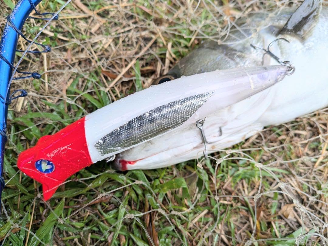 2025釣りフェス限定 ガボッツ200 BlueBlueブルーブルー 2025釣りフェス