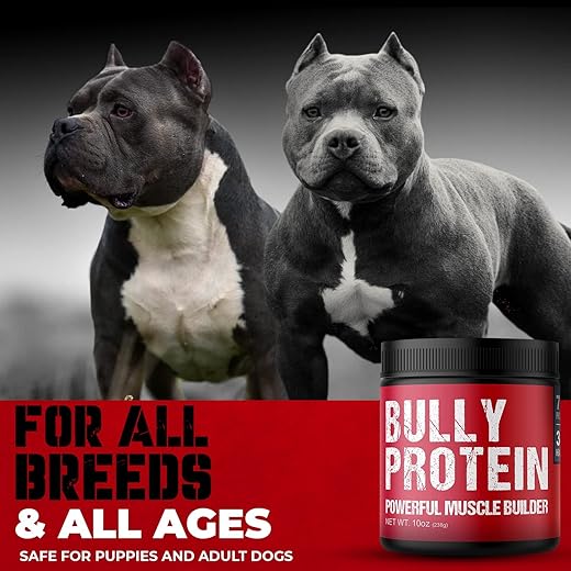 Bully Muscle Builder | | 283gm Dog Protein Powder | 30 Day Supply of Weight Gainer for Your Bully, Pitbull, Frenchies, or More, 60 Servings