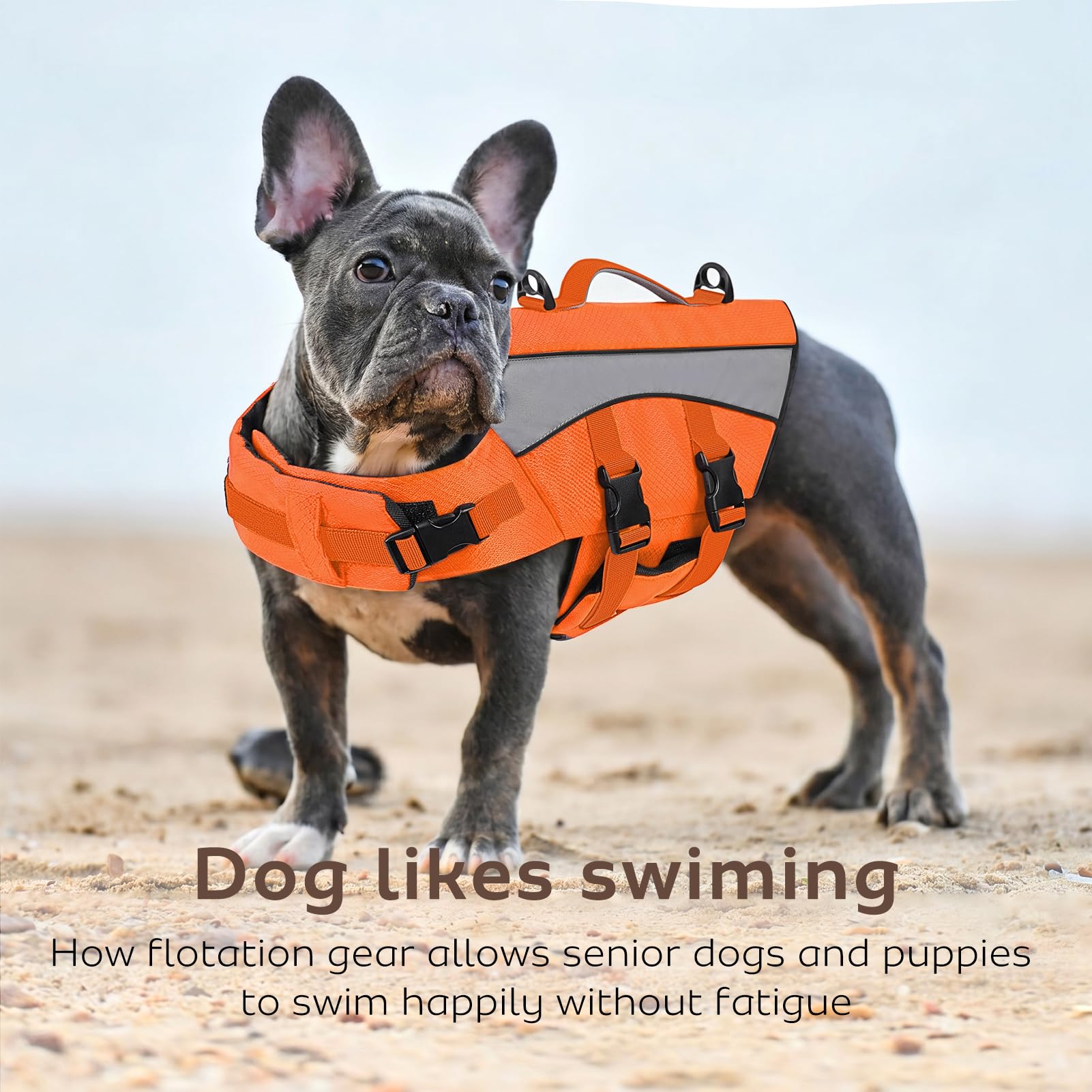CITÉTOILE Gilet de Sauvetage Chien Veste Flottante Réfléchissante Orange S
