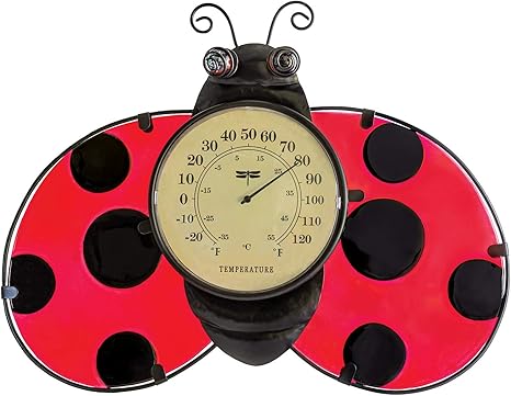 Ladybug Wall Décor and Thermometer