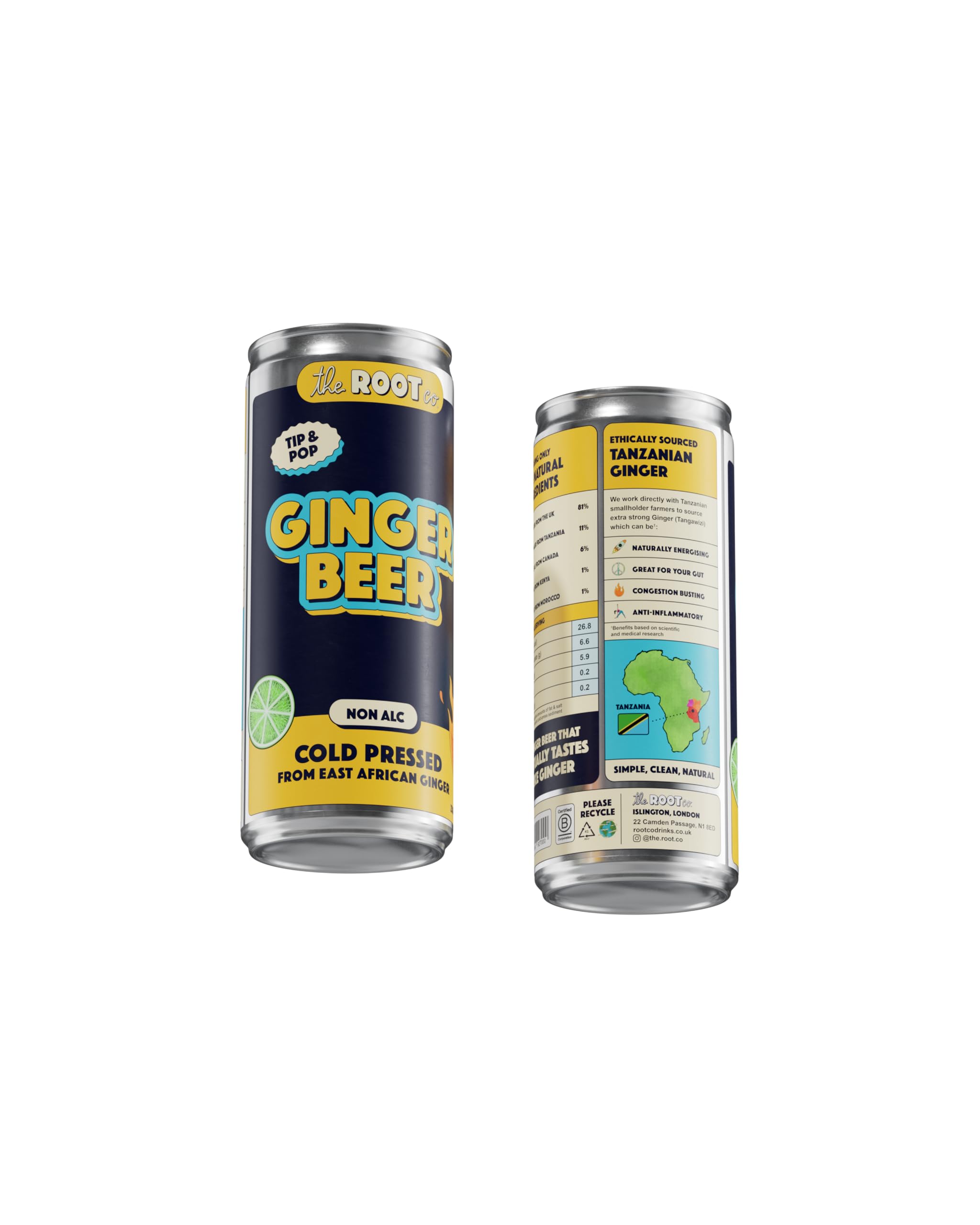 The Root Co - Ingwerbier - 12 x 230 ml würzige östafrikanische Wurzel-Ingwerbier - natürlich, kaltgepresst & bewölkt