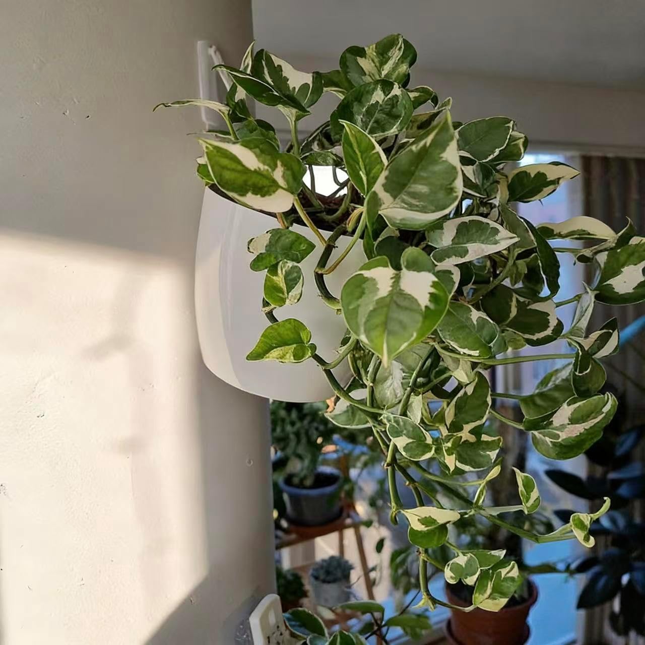 ORIMERC 6 Pack Hanging Planter Self Watering Wall Planter Plant Pot Vertical Planter Outdoor Indoor Plants Herb Garden Window Mount Home Décor Kitchen Balcony Railing Shelf Fence Trellis (Medium)