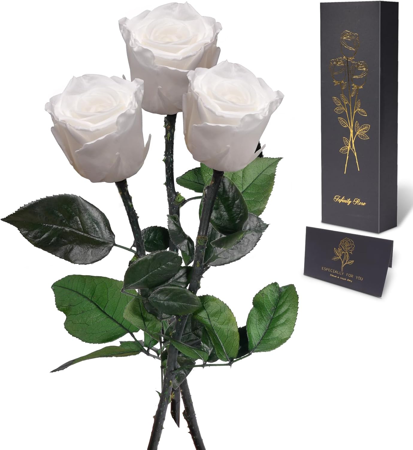 Yamonic Preserved Flowers Rose Gifts for Women Mom, Mom Birthday Gifts for Mother, Real Flower Rose for Her, Grandma, Wife, Girlfriend Gifts on Christmas, Mothers Day, Valentine's Day, Anniversary