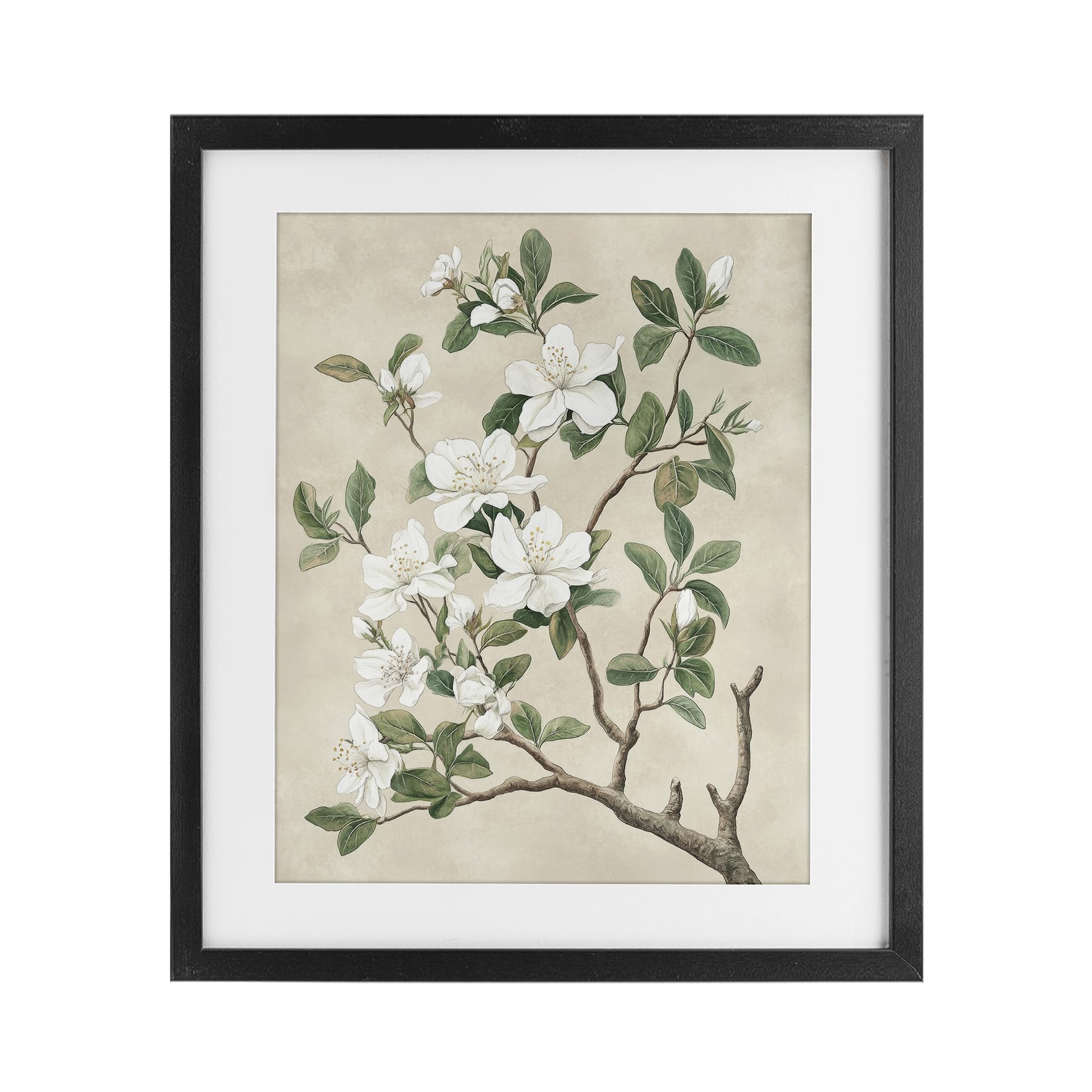 Affiche vintage arbre en fleurs blanches sous verre pour illuminer un mur sombre sans travaux