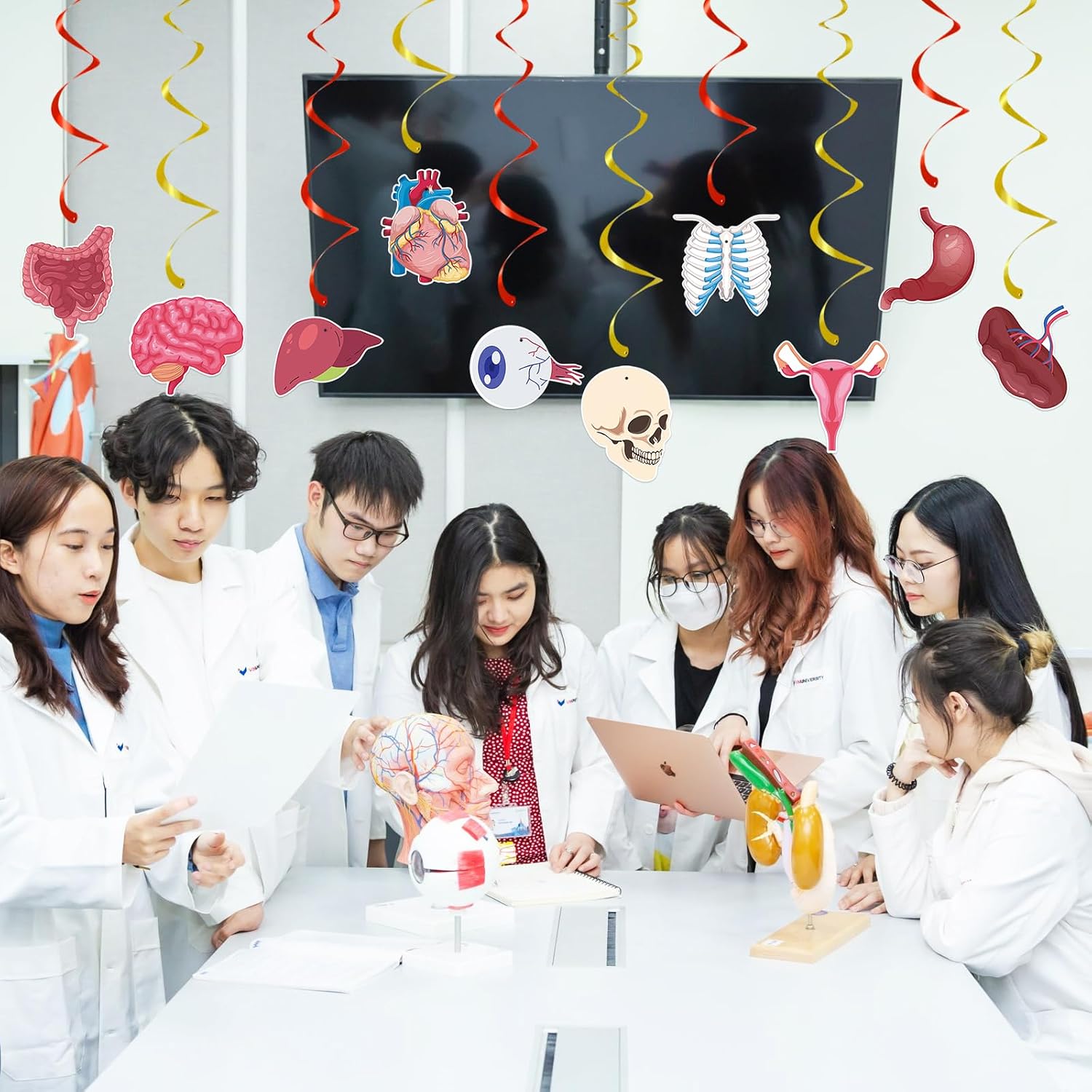 44 Pcs Anatomy Hanging Swirls Decoration, 20 Human Body Organ-Themed Ceiling Foil Swirl Ornaments with Brain, Heart, Skull, Rib Cage, Stomach & Double Swirl for Science Medical Office Graduation Decor