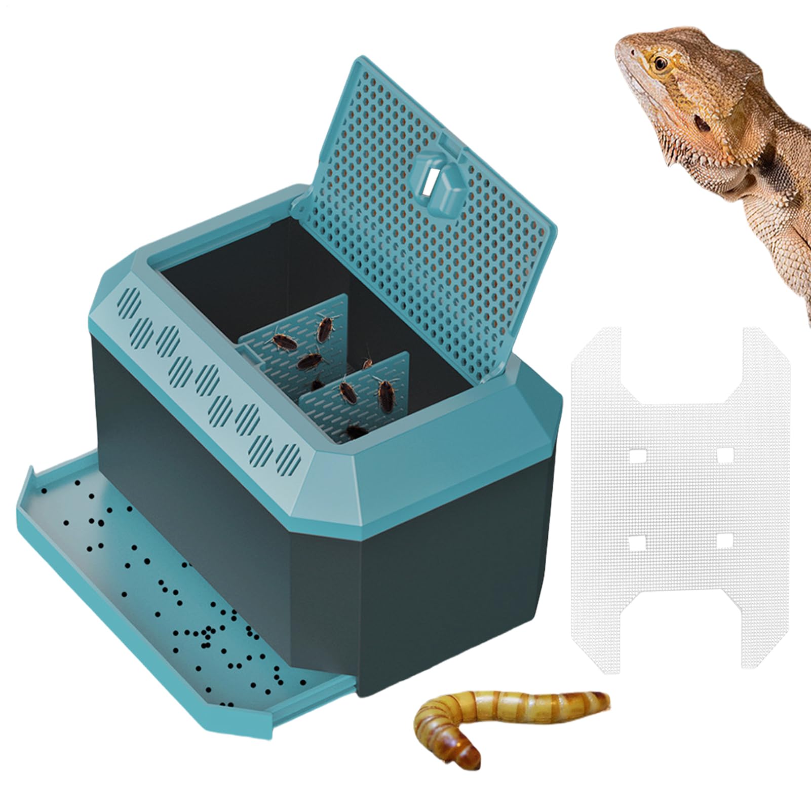 Terrarium araignée et boîte d'habitat pour reptiles 21,4 cm de transport