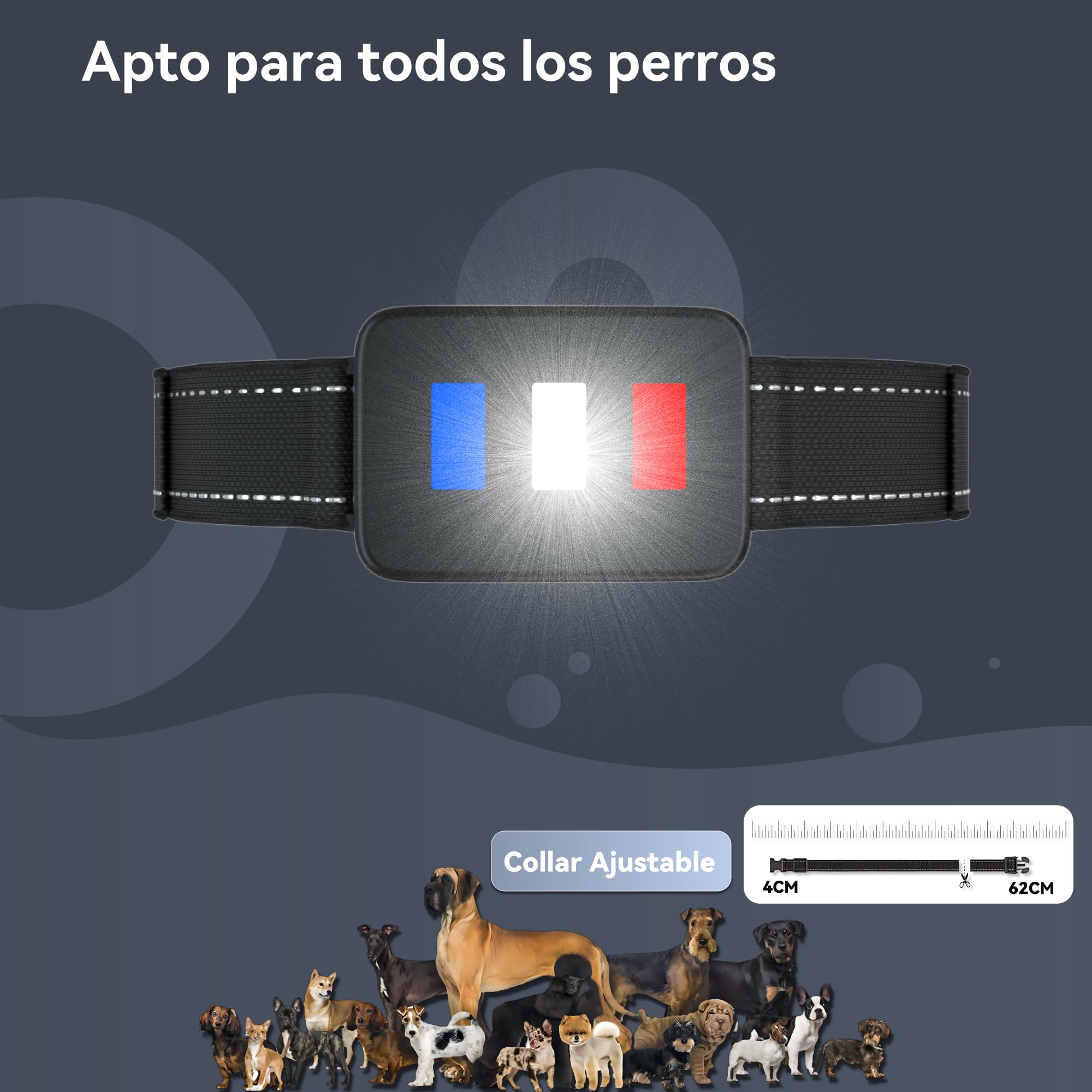 Meloive Collar para Perro,Collar Nylon Reflectante Impermeable,Duradero y Cómodo para Perros Grandes,Medianos y Pequeños,1 Collar