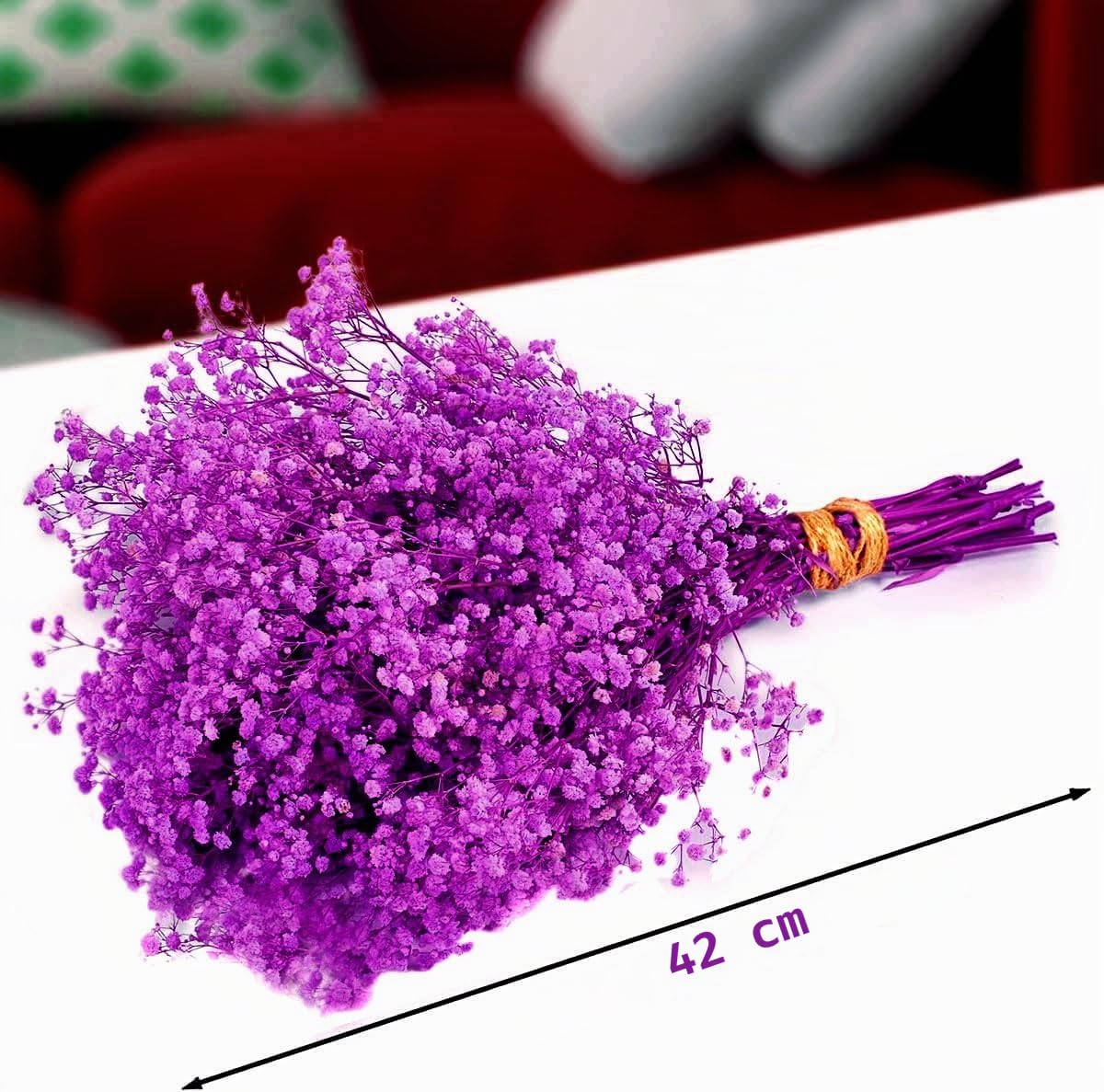 Viola Gypsophila Essiccata, 43cm Naturale Fiori Secchi stabilizzata Oltre 3000 Boccioli, Gypsophila Secchi per Matrimonio, Decorazione della Casa, Fai da Te e Partito