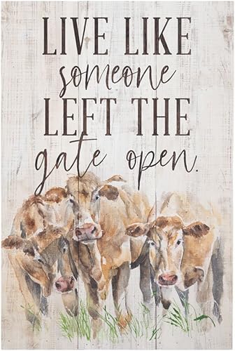 Sincere Surroundings RUS1146 - Puerta abierta, color blanco