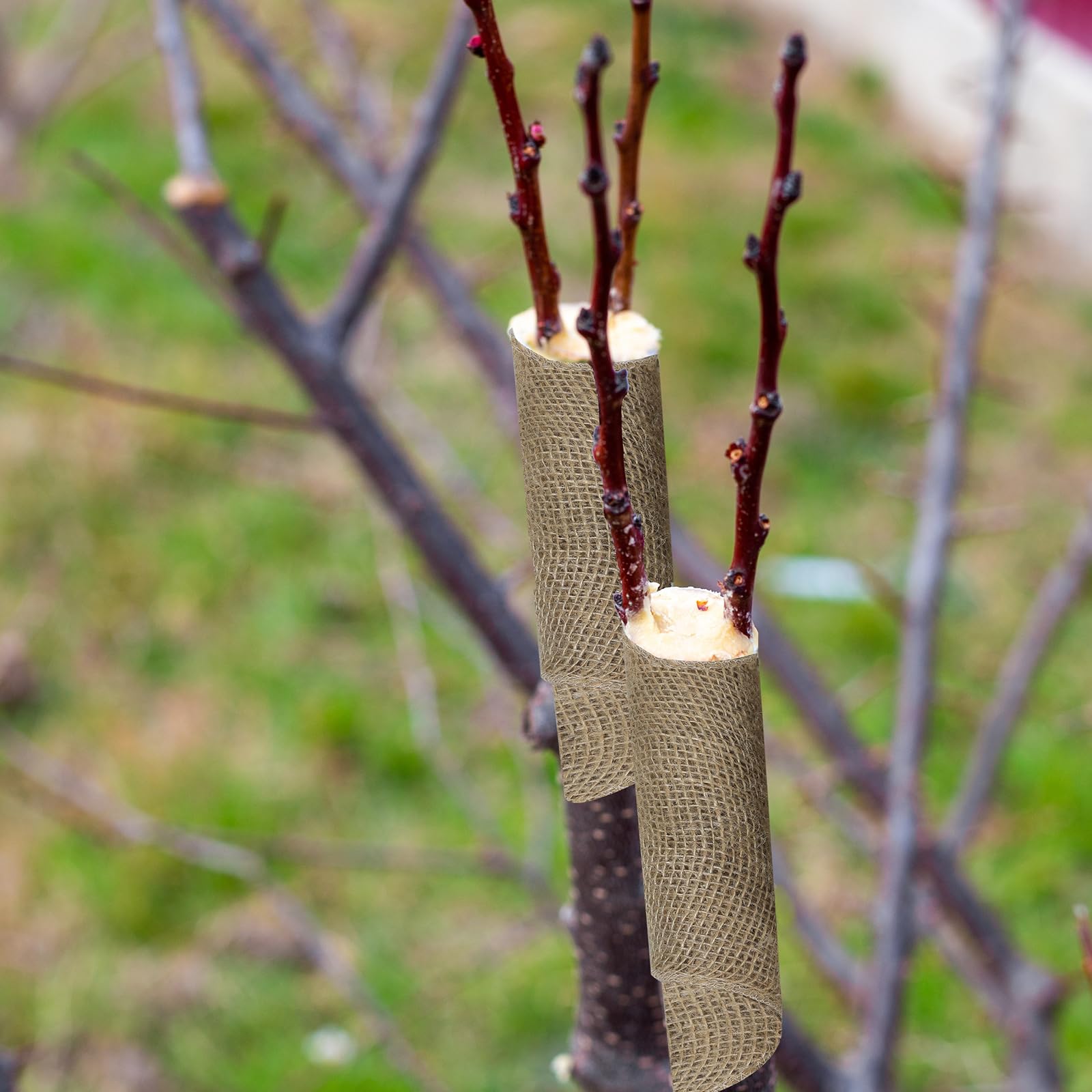 Rotolo di iuta naturale per giardinaggio, 19,8 x 30,5 m, protezione per tronchi d'albero, rotolo di iuta per mantenere caldo e idratare (19,8 cm x 30,5 m)