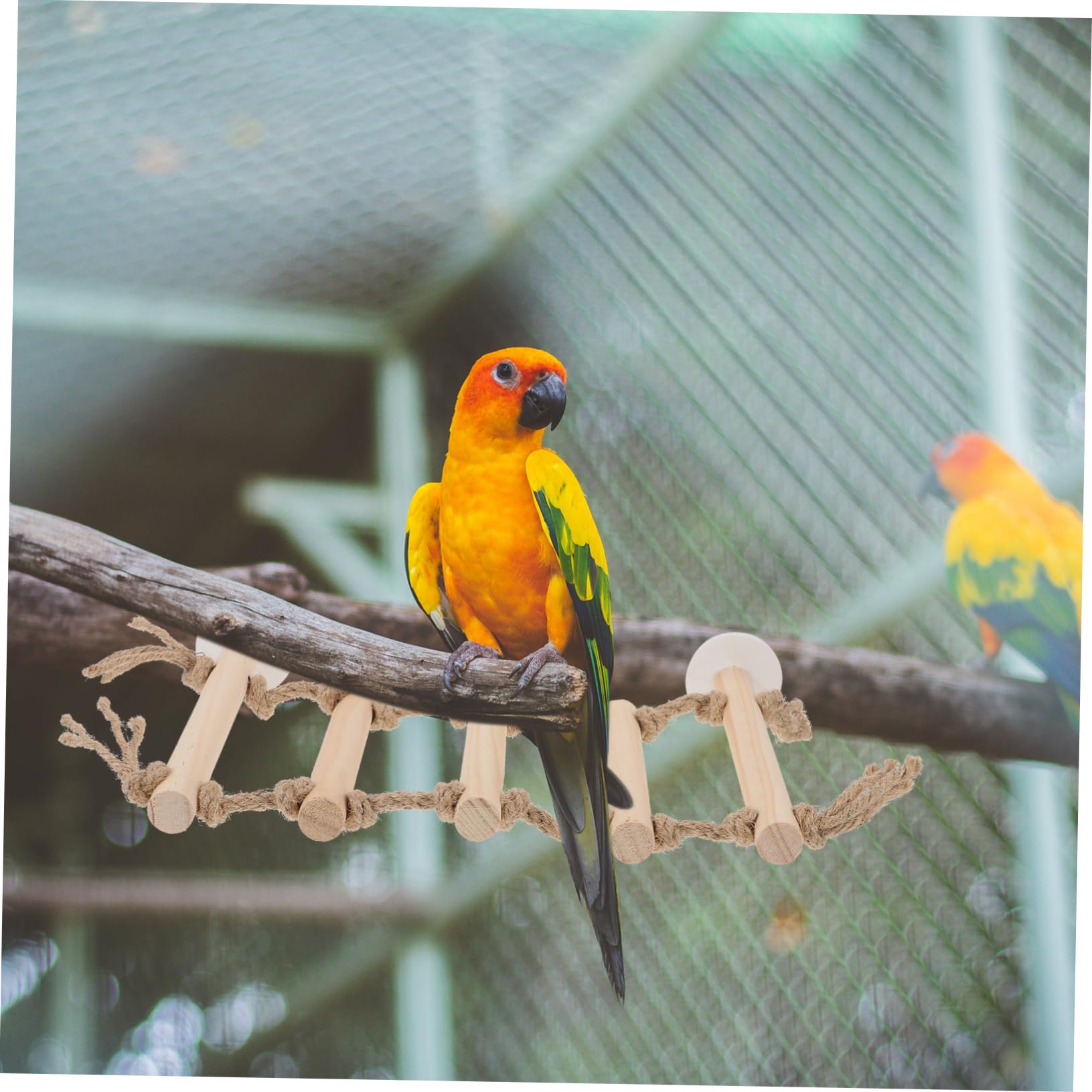 Totority Parrot Toys Medium Parrots Bird Ladder Toy Wooden Bird Climbing Step Ladder