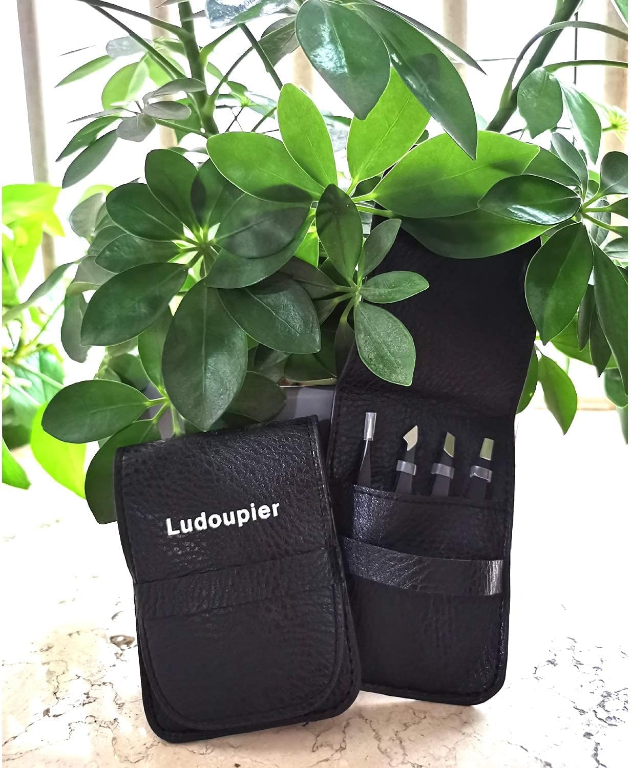 LUDOUPIER 4-Piece Tweezers Set - Travel Case Included -8 LUDOUPIER 4-Piece Tweezers Set - Travel Case Included -8