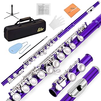 Eastar EFL-1 Closed Hole C Flutes 16 Key Nickel Plated Purple Beginner Student Kids Flute Set With Carrying Case Stand Gloves Cleaning Rod and Cloth