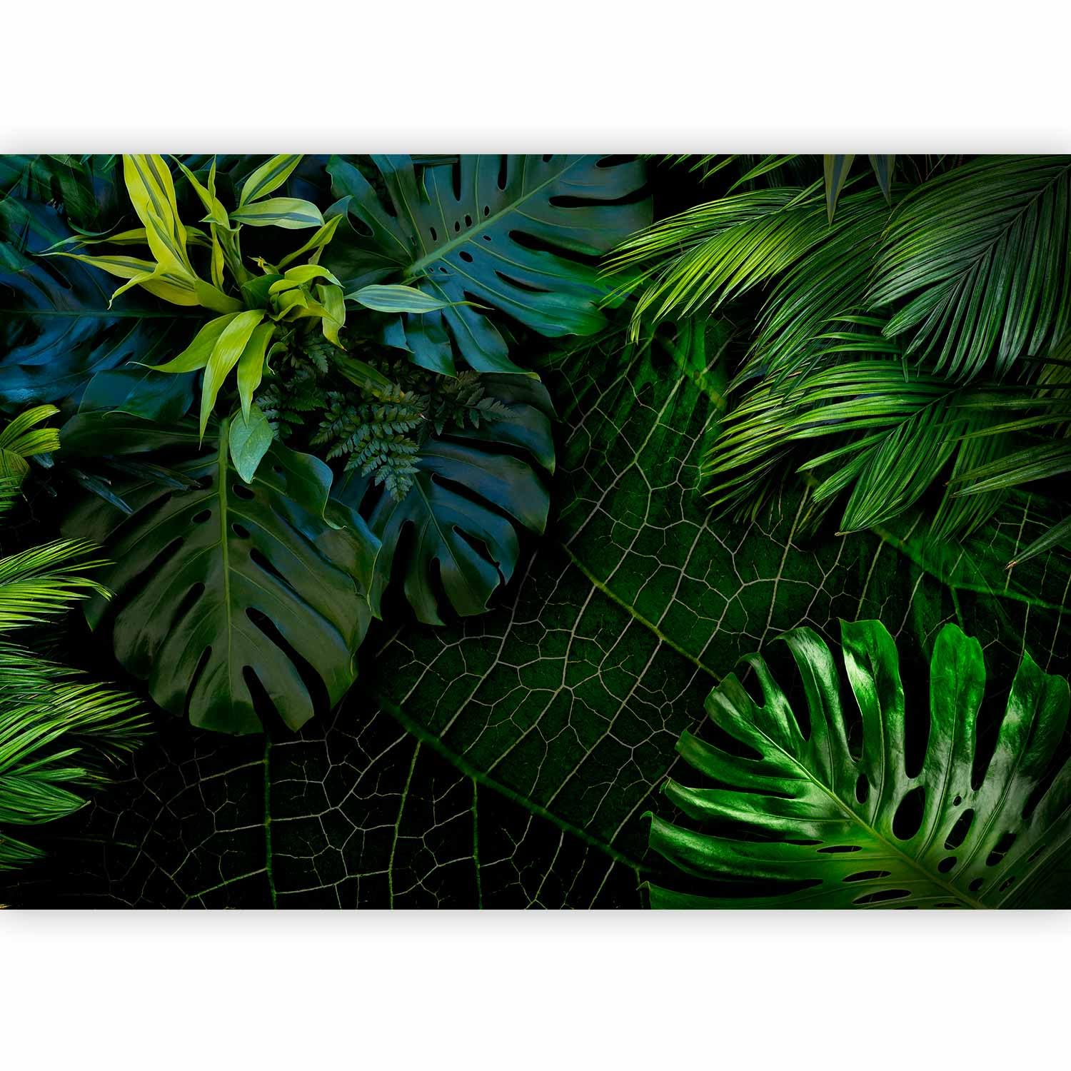 murando Photo Wallpaper Tropical Leaves Monstera 300x210 cm Non-Woven Premium Art Print Fleece Wall Mural Decoration Poster Picture Design Modern Nature Green b-C-0224-a-a โ image 1