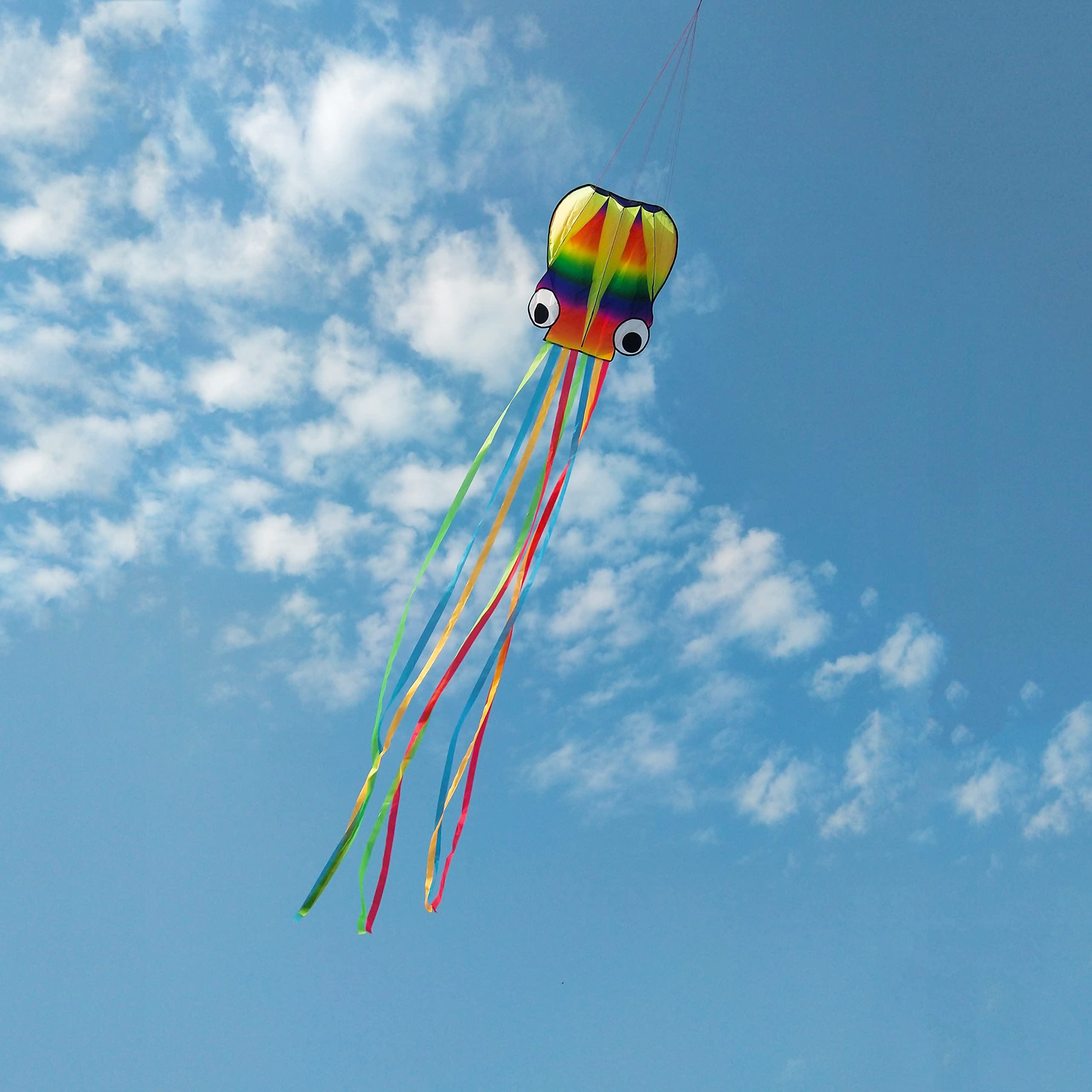 Cervolants Enfants Cerf-Volant Pocket Arc-en-Ciel - Enfant Débutant - 81cm Avec Queue 3.5m - Jeu Plage & Extérieur Cerf-volant Poche Enfants