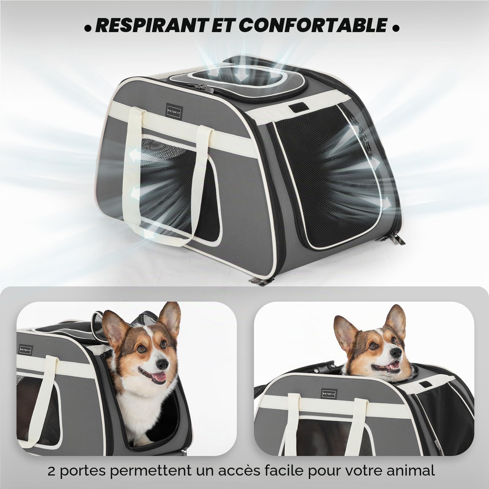 Petsfit Sac Transport Chat avec roulettes Amovibles, Grand Sac de Transport pour Chat pour 2 Chats, Pliable sur roulettes, Chats ou Chiens de Taille Moyenne, avec Fond Imperméable, L/Gris