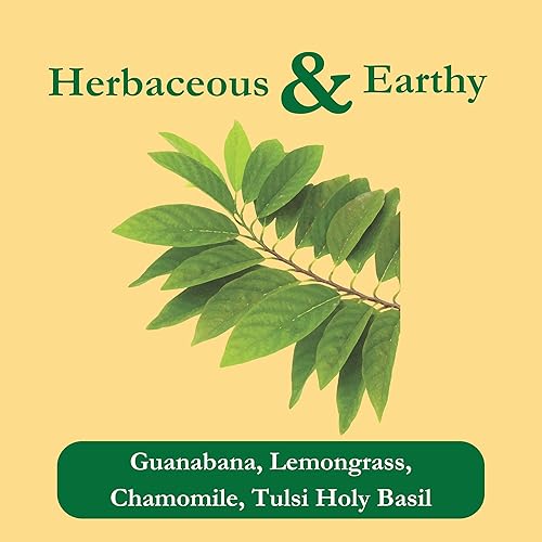 Miniatura 3 de Tadin Herb  Tea Co mezcla de té de Guanábana sin cafeína 24 bolsitas de té Paquete de 6