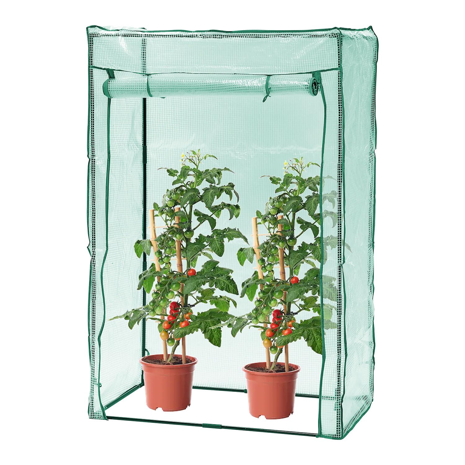 Taylor & Brown Tomato Garden Greenhouse Frame with Heavy Duty Reinforced Green PE Weather Cover with Roll-up Door Growbag Growhouse Vegetables Grow Tent and Cultivation