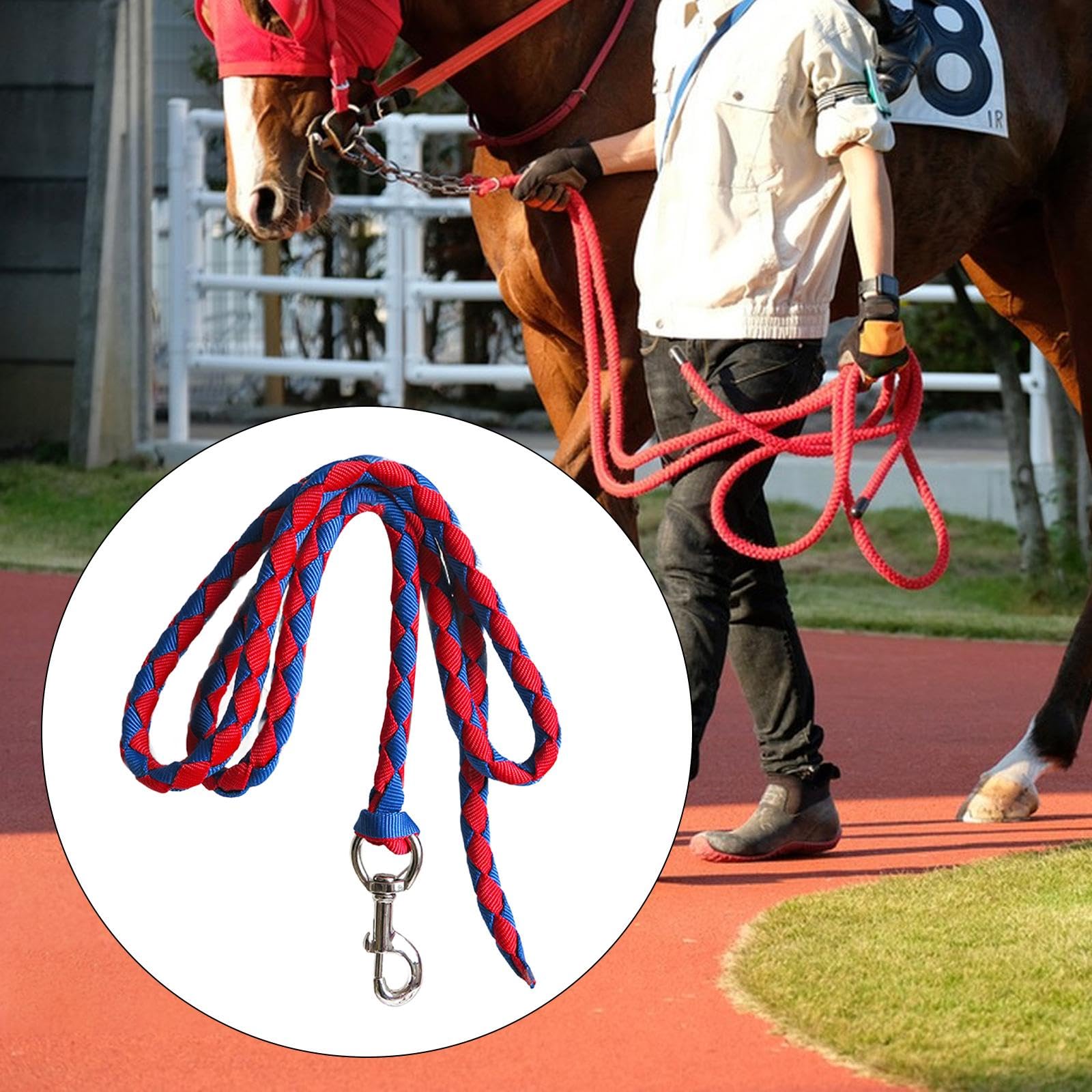 Guinzaglio per Cavalli con Moschettone a Sgancio Rapido, 4m Rosso e Blu
