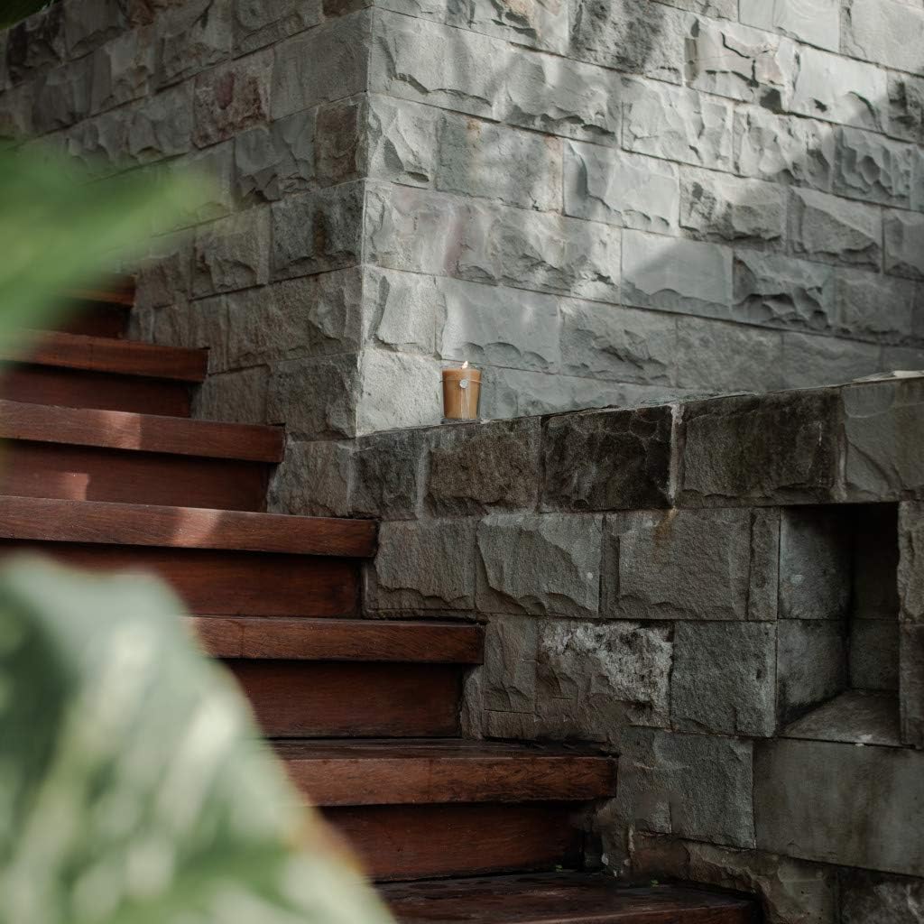 VOTIVO 6.8oz Aromatic Candle-Island Grapefruit - Image 3