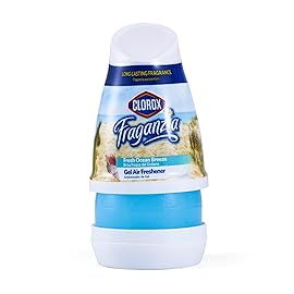 Clorox Fraganzia Cone Gel Air Freshener - Fresh Ocean Breeze - Long-Lasting Gel Air Freshener for Closets, Bathrooms, Kitchens, Offices - Air Fresheners for Home, Bedroom or Car - 1 Pack, 6oz