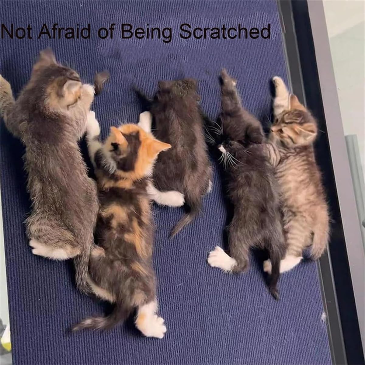 review Cat Scratching Mat,Trimmable Self-Adhesive Carpet Mat Pad,Reusable Cat Couch Protector,Multiple Surfaces Wall Mounted Cat Climber Mat,for Cat Shelves,Table Leg,Furniture Steps (Beige, 11.8 * 39.37)