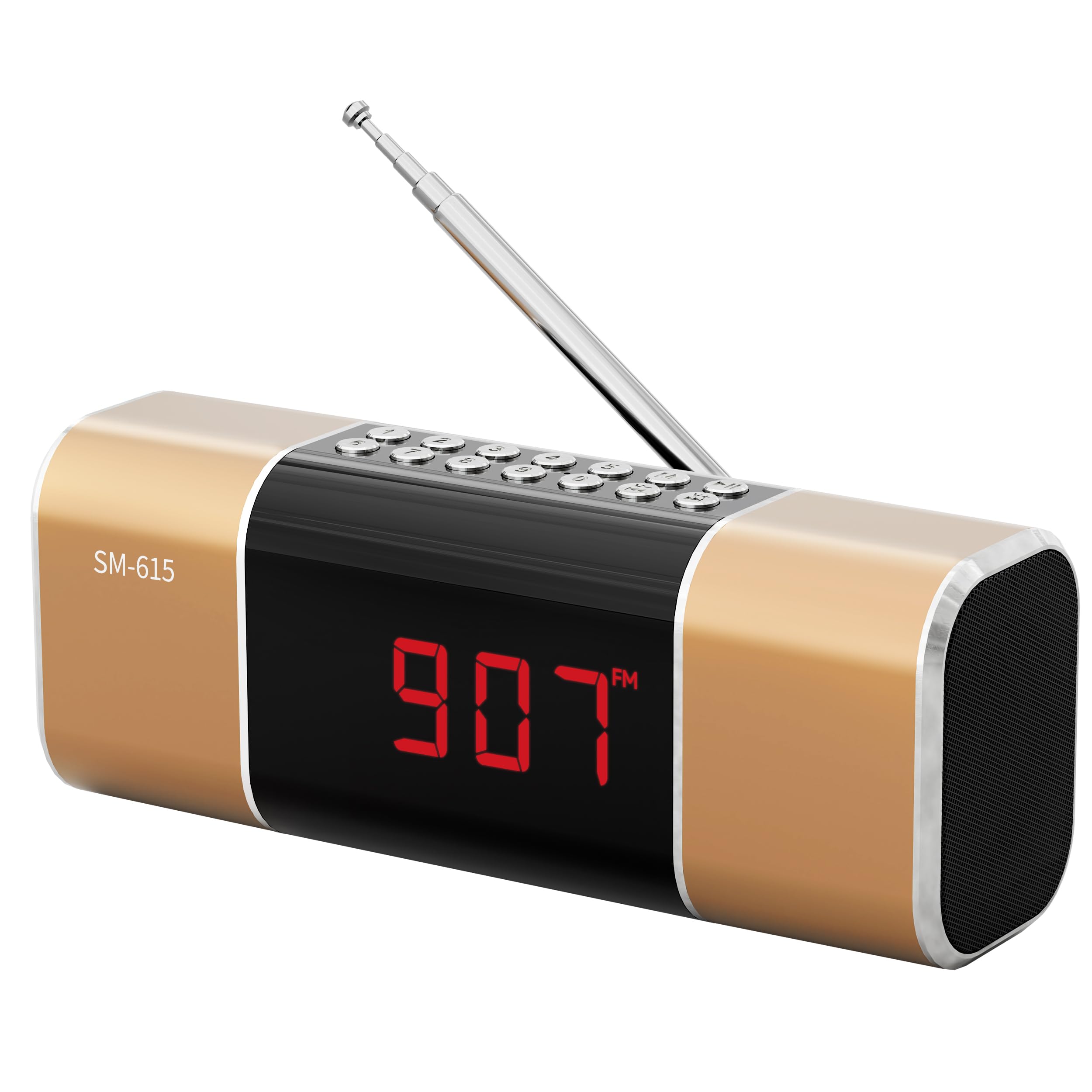 Compact FM Radio Bluetooth Speaker