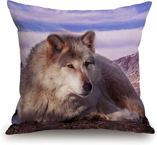 Vista 2 de TSSOHU Funda de almohada en blanco y negro para muebles de patio, vaca escocesa de las tierras altas en la Isla de Mull, fundas de cojín decorativas