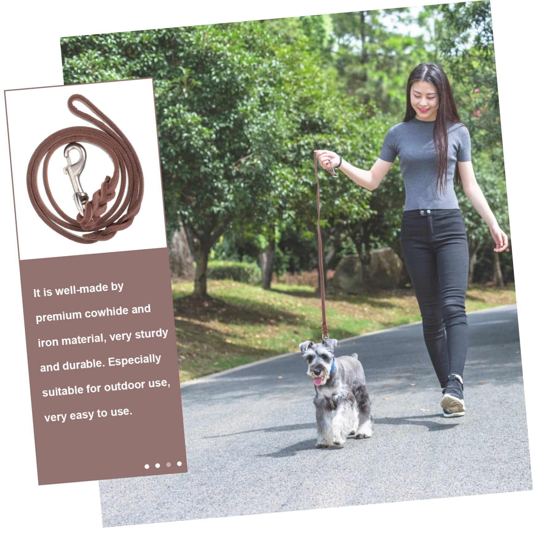 Sosoport 3pezzi Guinzaglio Per Cani Resistente Design Pratico Con Gancio Per Addestramento e Passeggiate Quotidiane Con Tuo Cucciolo