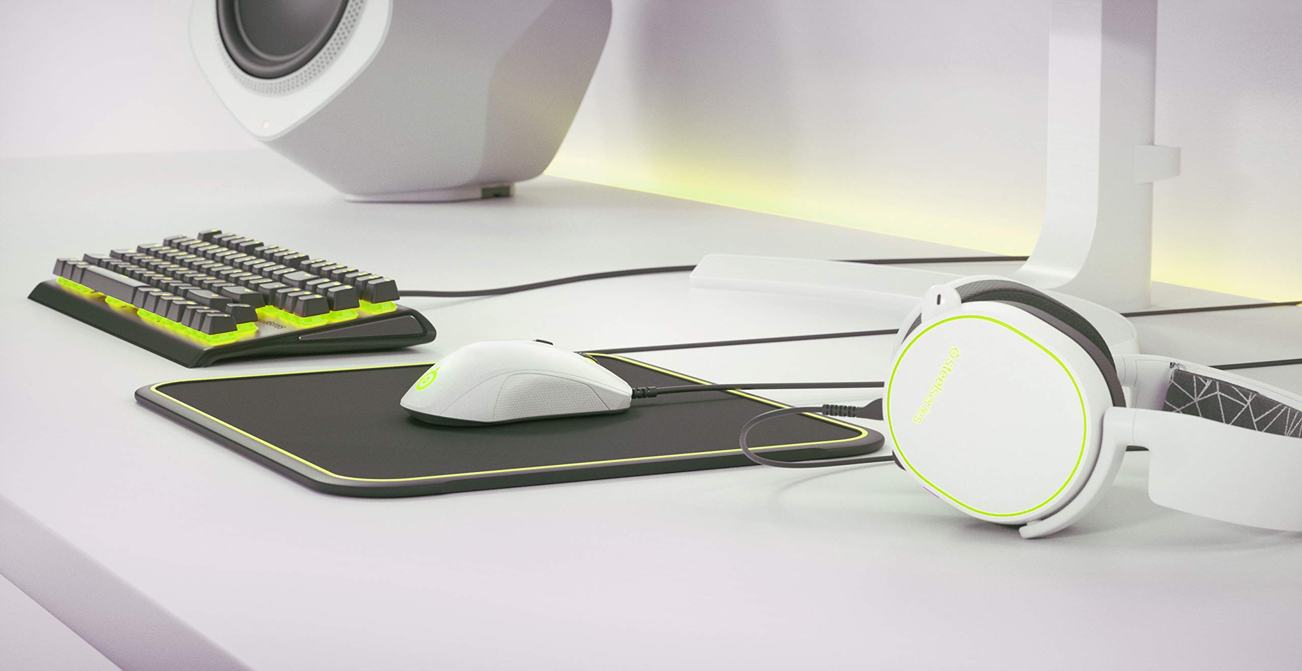 Amazon.com: SteelSeries 62468 Steelseries Rival 110 Gaming Mouse