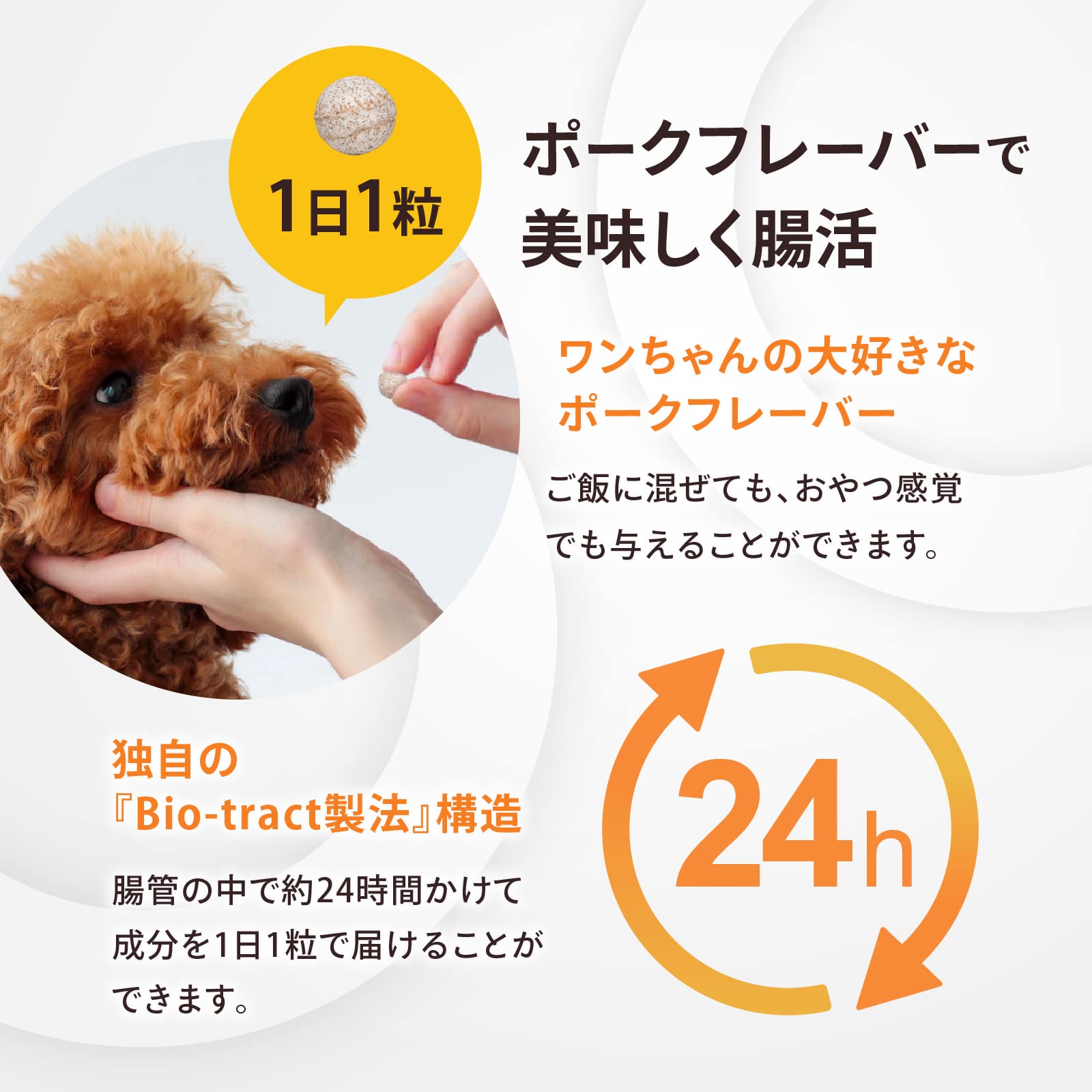 Amazon.co.jp: OZLOO オズル 腸活サプリ+ (プラス) for Dog 小型・中型 