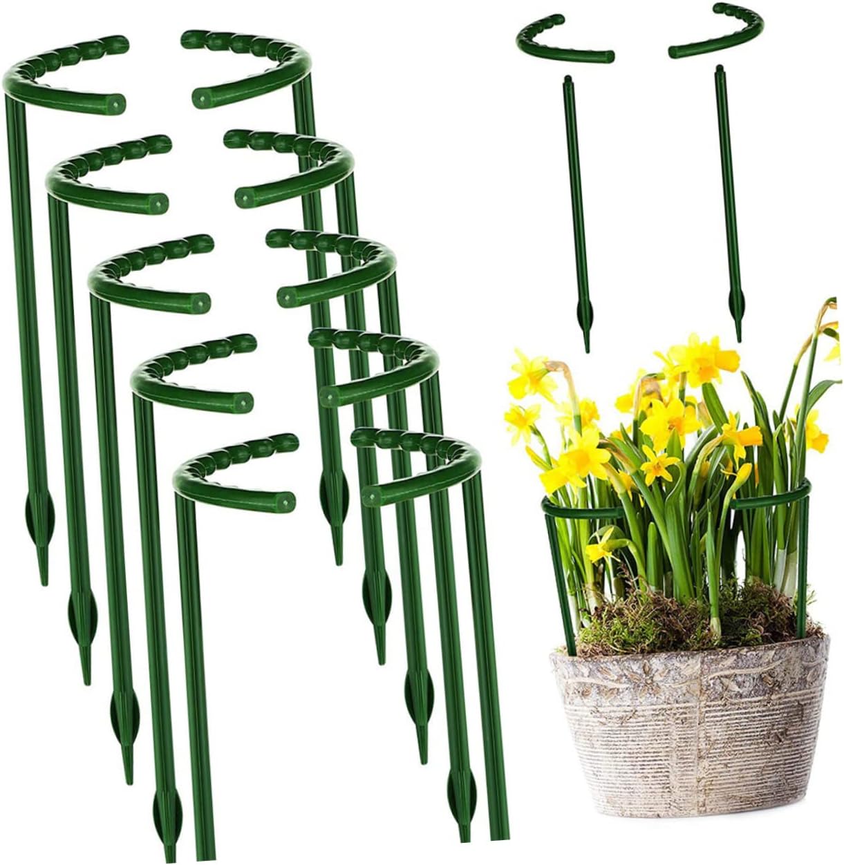 GALPADA 30pcs Orchid Plant Support Stakes Climbing Racks for Garden Plants Half Flower Support Frames for Vines Climbing Flowers