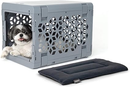 collapsible wire crate