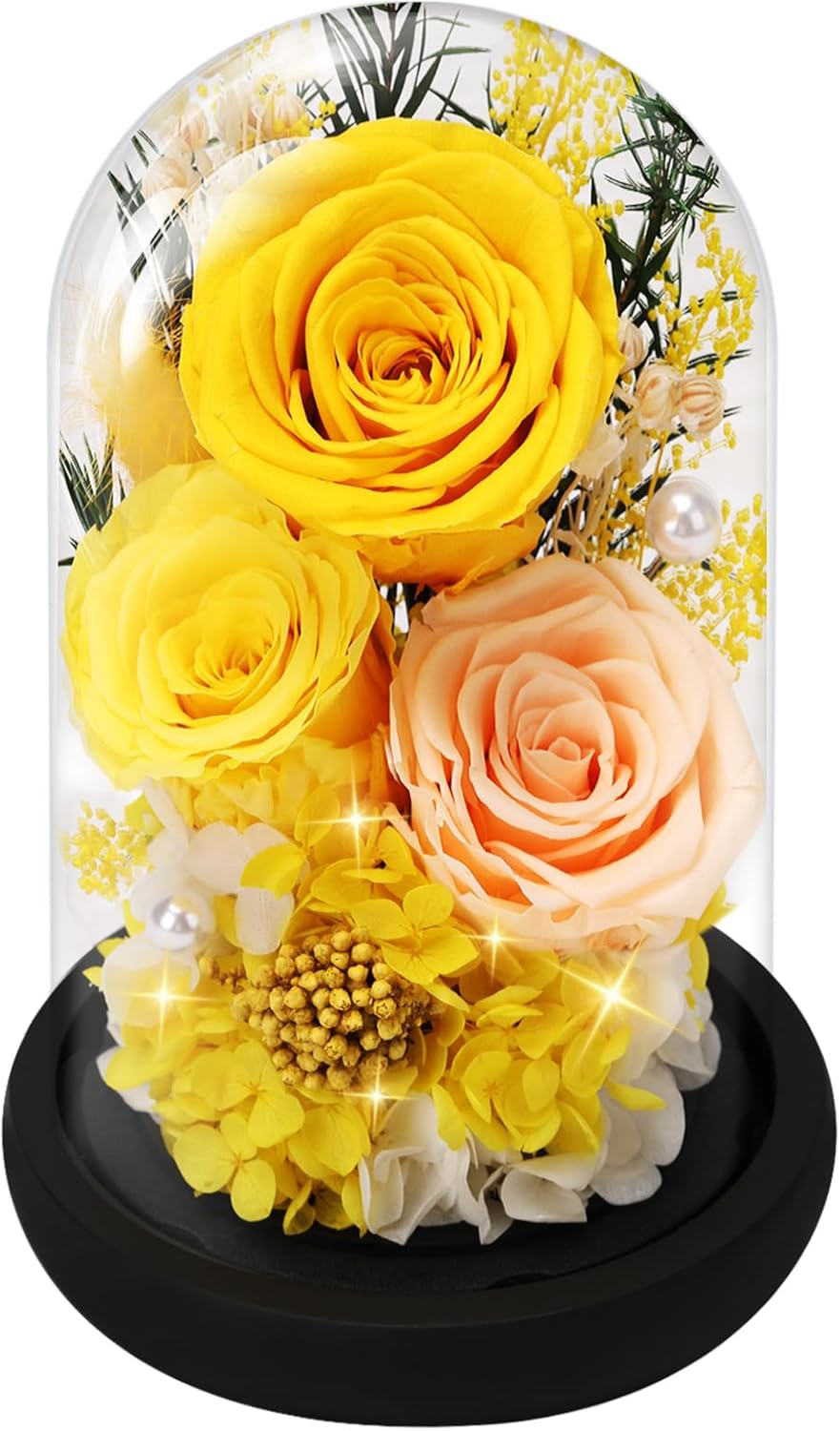 Casaido Preserved Roses Flowers for Delivery, Mothers Day Rose Gifts for Mom Her, Purple Forever Flores in Glass Dome for Wife Girlfriend Grandma, Anniversary Birthday Gift for Vanlentines Christmas
