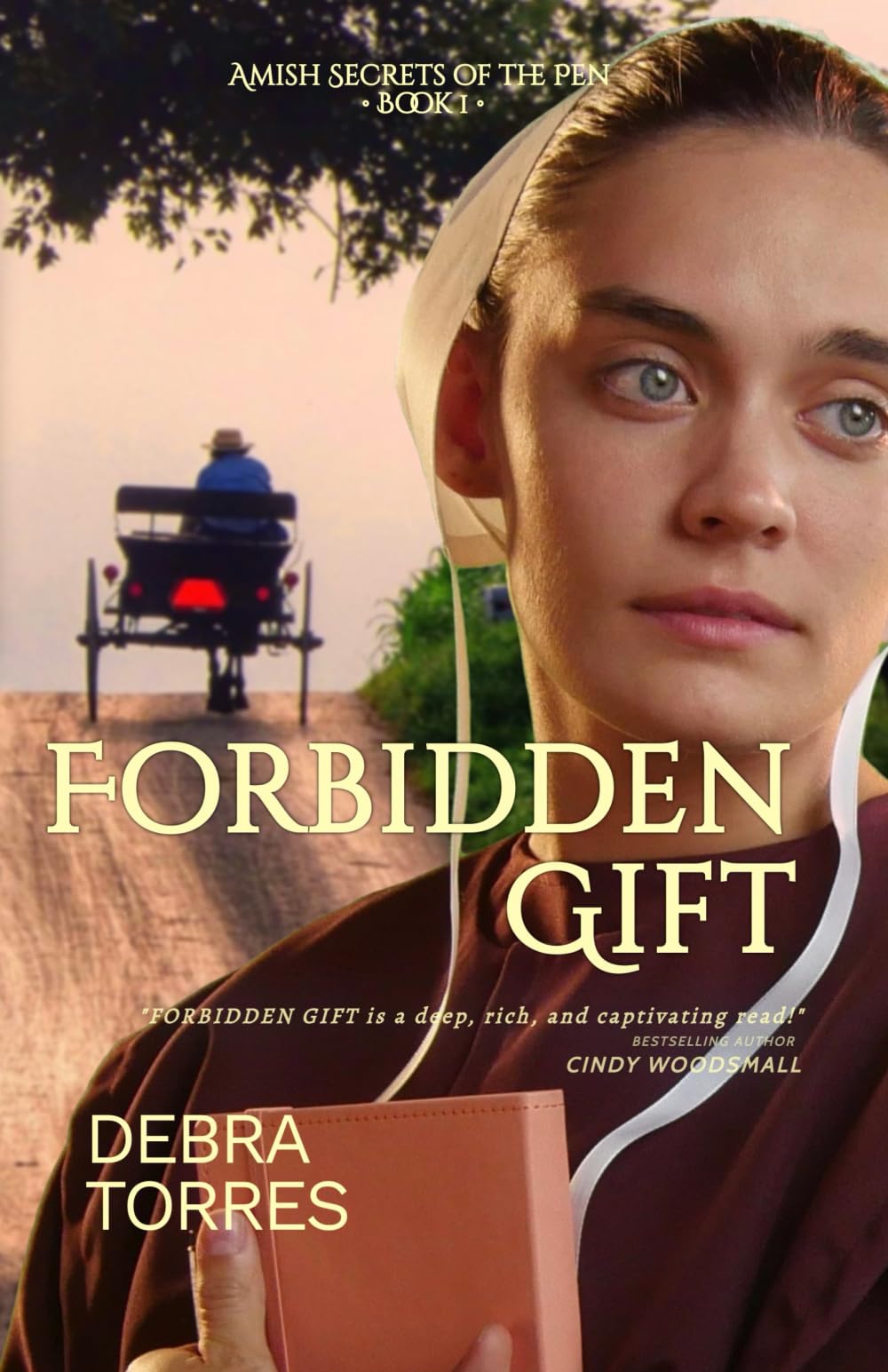 Forbidden Gift (Amish Secrets of the Pen)