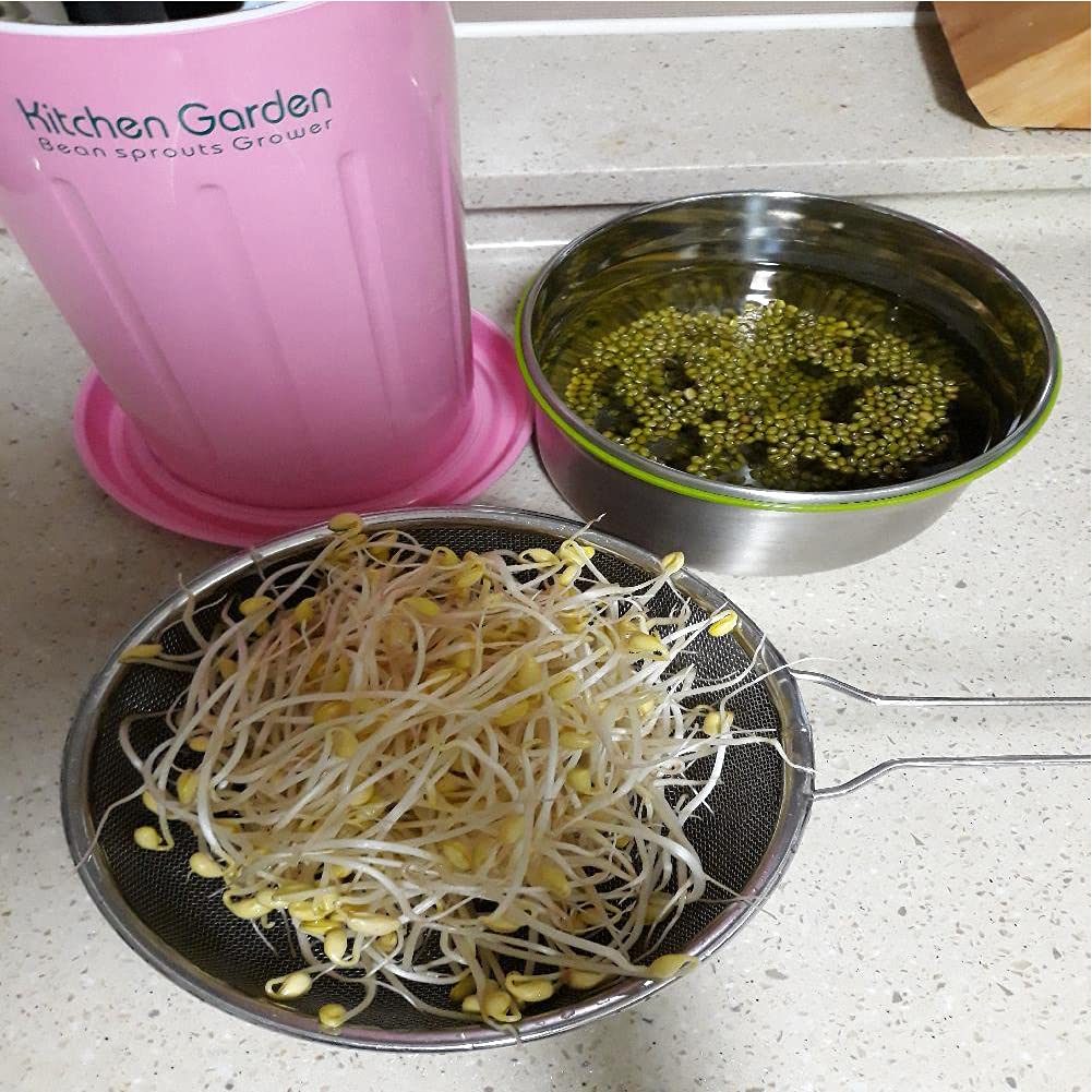 Jack N Sprouts Kitchen Garden Bean Sprouts Grower JK202 : Grocery & Gourmet Food