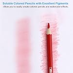PATIKIL Watercolor Crayon, 12Pcs Crayons solubles dans l'eau pour le mélange, la coloration, le dessin de croquis, la peinture, le café