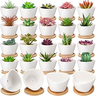 12 Bathroom Medicine Cabinet Ideas for Better Organization 85 Domensi 24 Pack Succulent Planter Pots 3 Inch Small Plant Pots Mini Cera...