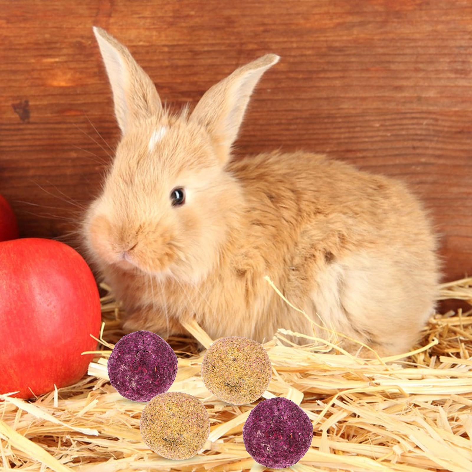à Mâcher en Bois 3,6 CM pour Lapins et Hamsters Accessoire Dentaire pour Petits Animaux de Compagnie