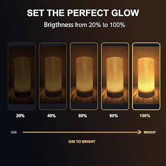 5 Set 3D Printer LED Lamp Kit 001, Compatible with Bambu lab H2D/A1/A1mini/P1S/P1P/X1C Makerworld Maker's Supply Hardware kit 5V USB Powered, Multicolor