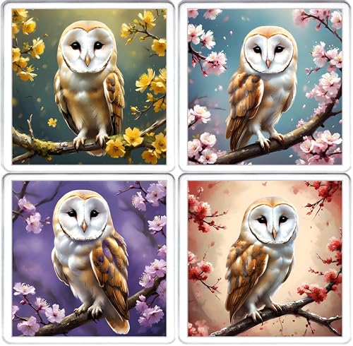Kazmugz Multicolor Barn Owl Coaster Set. 4 Different Barn Owl Pictures On 10Cm X 10Cm Acrylic Coasters. Boxed Coaster Drip Mat Set.