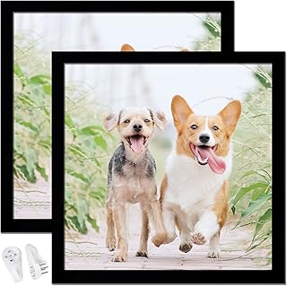 12x12 Picture Frame Set of 2, Black Square Photo Frames High Transparent Wall Gallery Desktop Horizontal Vertical for Canvas Collage Photo Poster Certificate 12 x 12 inches