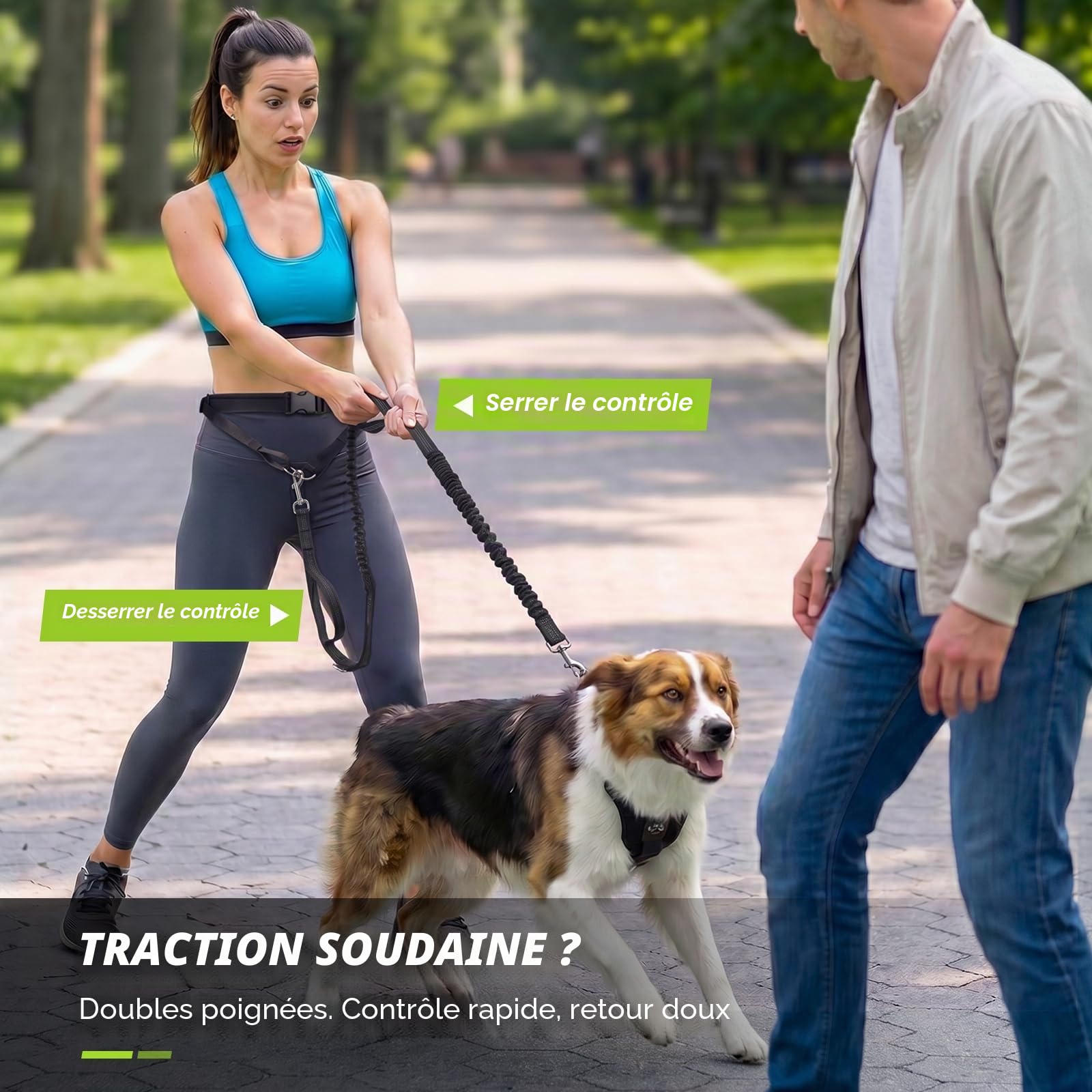 Pecute Laisse Canicross Chien Mains Libres Jusqu'à 50kg Absorption de Choc Couture Réfléchissante