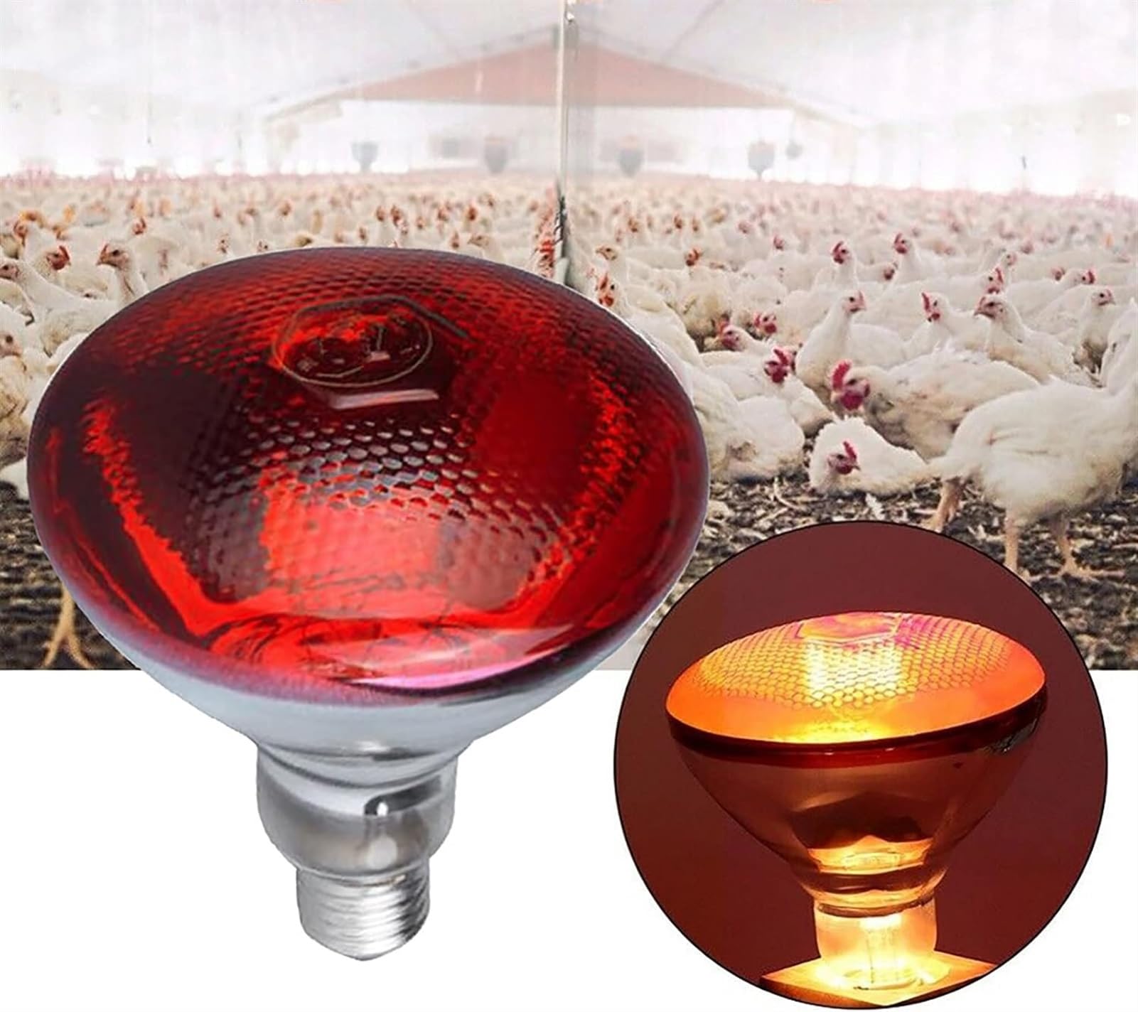 Lampa ciepła dla zwierząt domowych, lampa ciepła na podczerwień dla piskląt, czerwona żarówka do lamp grzewczych, żarówka ciepła dla drobiu typu E27, idealna dla szczeniąt, jagniąt, c