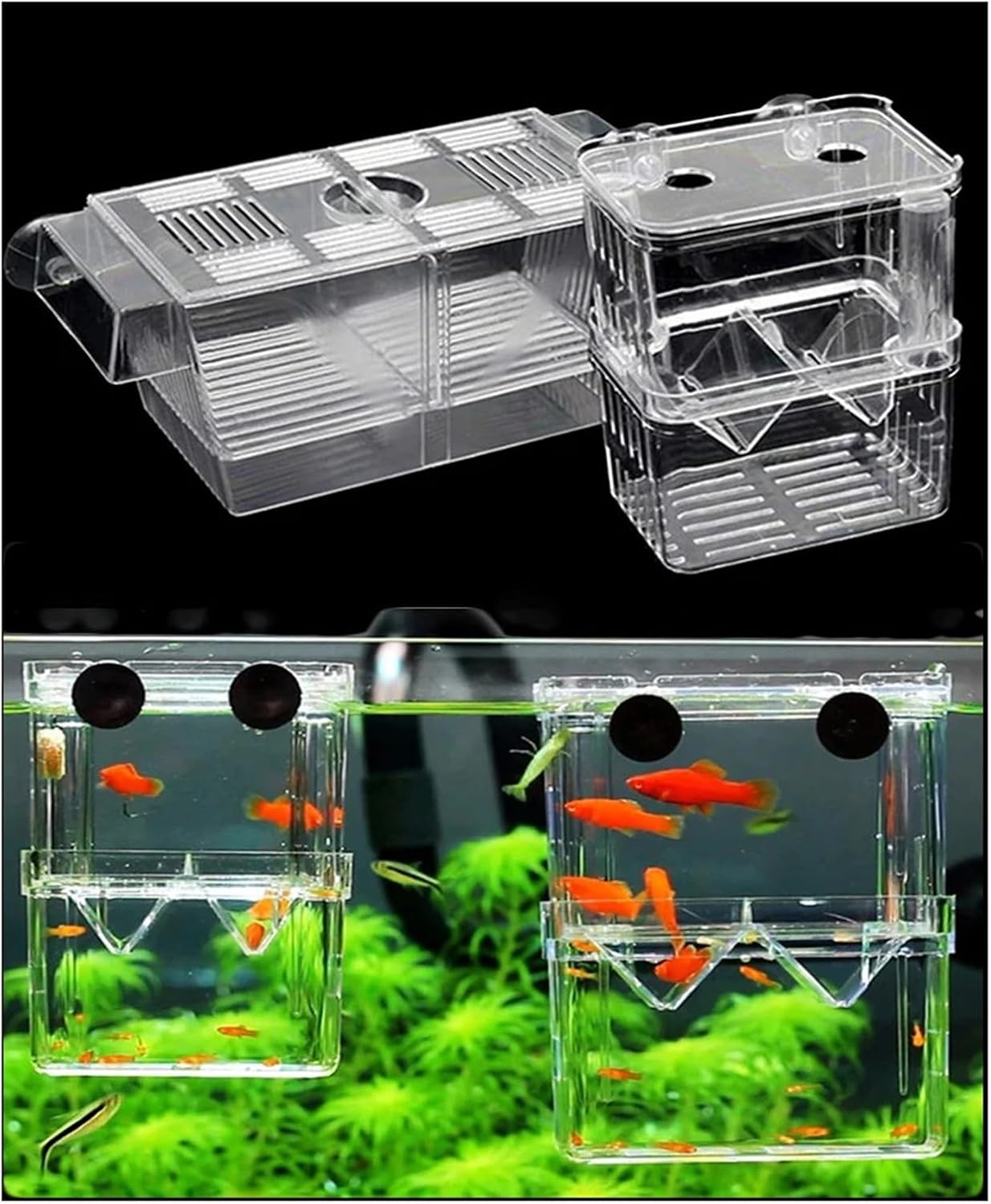 Acrylic Fish Breeding Isolation Box for Betta Fish - Aquarium Hatching Incubator and Breeder Tank for Fry and Small Aquatic Species(7 x 10 x 13cm)