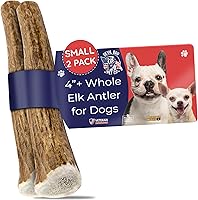 Vista 17 de Devil Dog Pet Co. Cornamentas de alce para perros, extra grandes 17,8 cm+, 1 paquete, grado A, masticable duradero para masticadores agresivos, asta