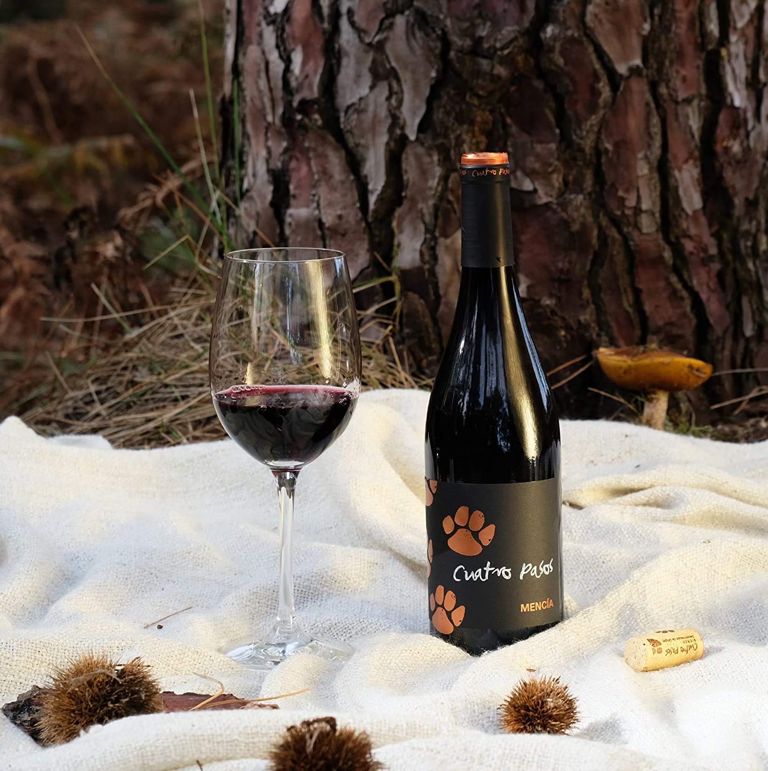 Cuatro Pasos Vino tinto mencía DO Bierzo 750 ml (Paquete de 6)
