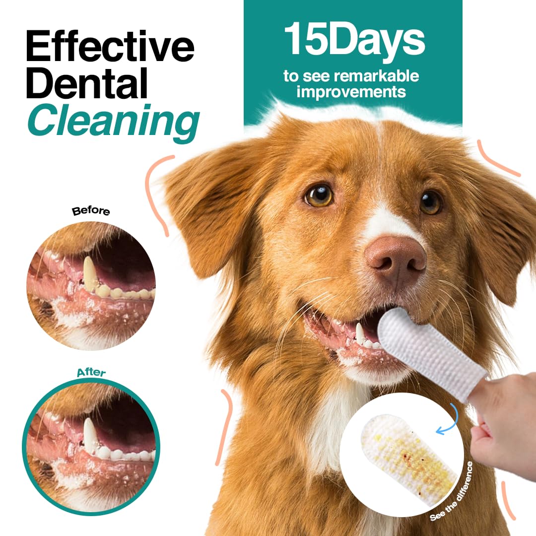 Bandvet Wrap Dog Teeth Cleaning Wipes (90 Count) - No-Rinse Cat Toothbrush, Effective Dog Breath Freshener - Essential Pet Supplies (1.65 in x 3.15 in) 1