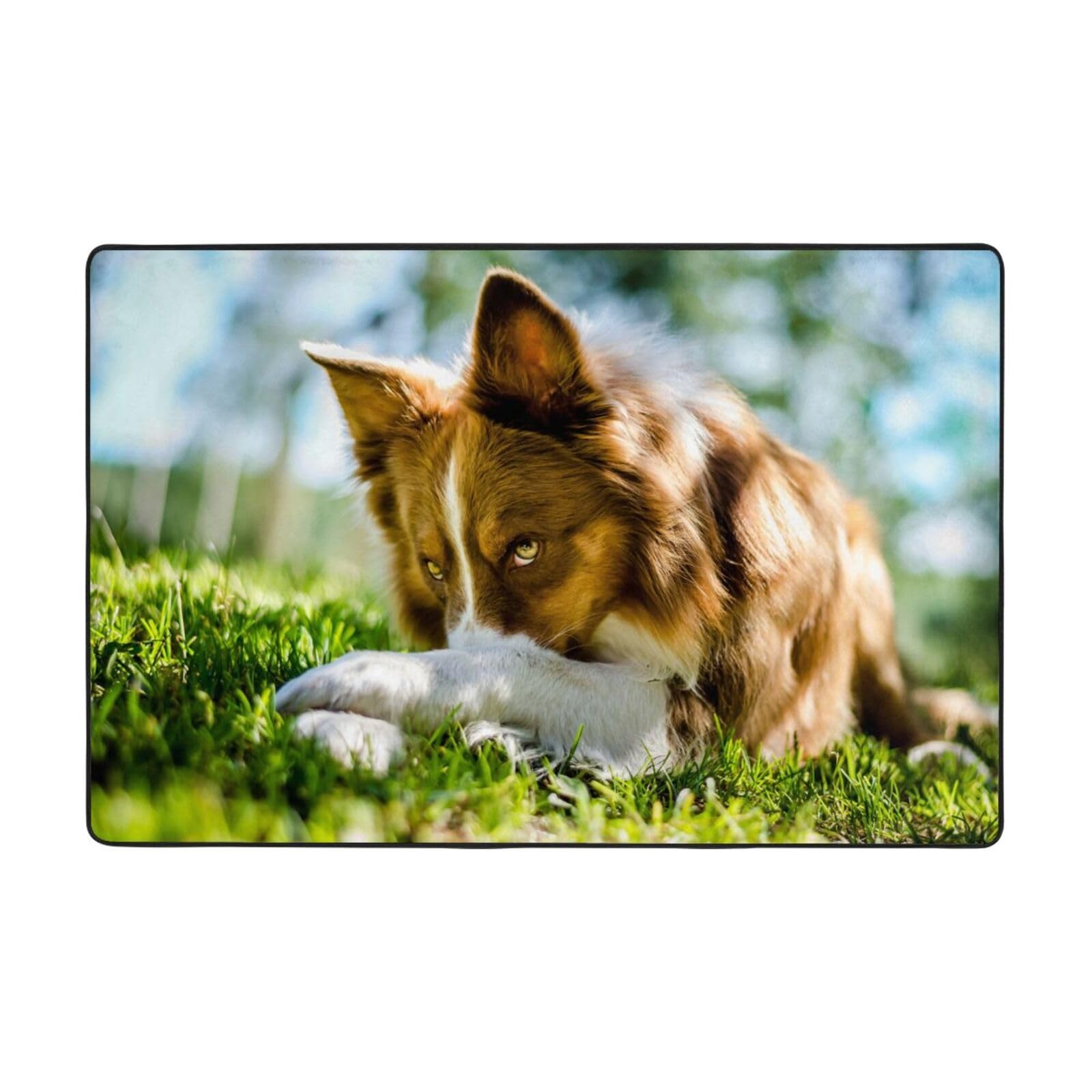 Tapis de sol antidérapant chien en flanelle pour salon et chambre adulte
