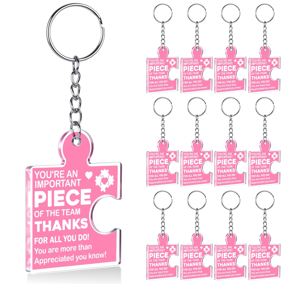Team Appreciation Gifts Bulk Thank You Keychains for Coworkers